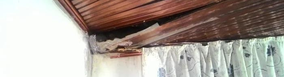 Descupinização no Madeiramento do Forro em Jabaquara  24 HORAS